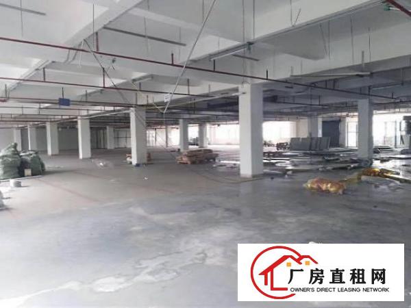 
桥陇临凤岗,花园式厂房3600,可分租,带豪华装修
