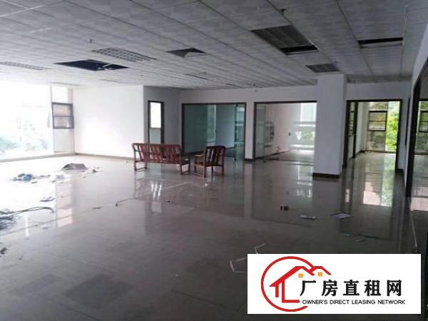 
桥陇临凤岗,花园式厂房3600,可分租,带豪华装修