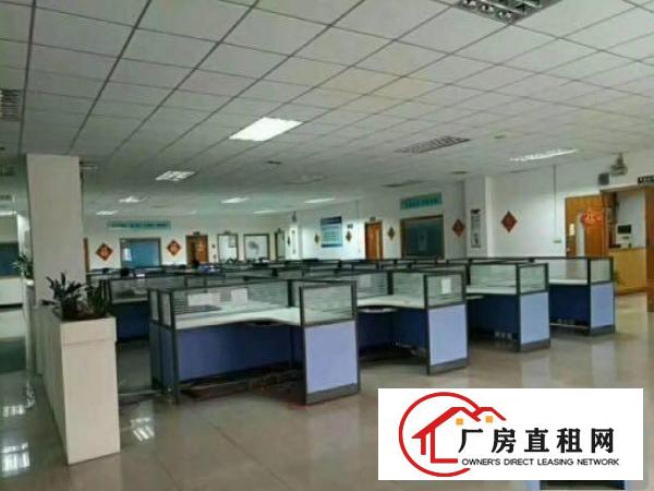 
清湖头,标准厂房600,带消防喷淋,精装修,空地大