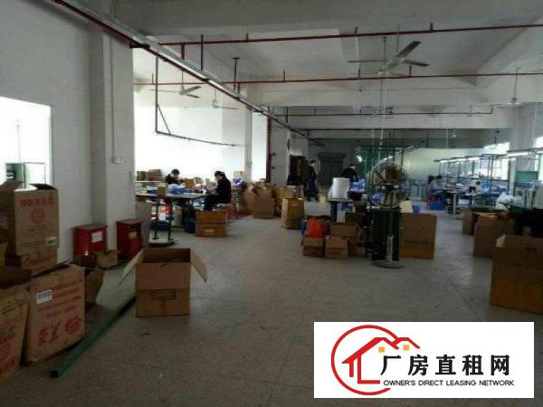 
清湖头,标准厂房600,带消防喷淋,精装修,空地大