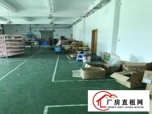 
塘厦田心科苑城高速口新出二楼厂房1100平米