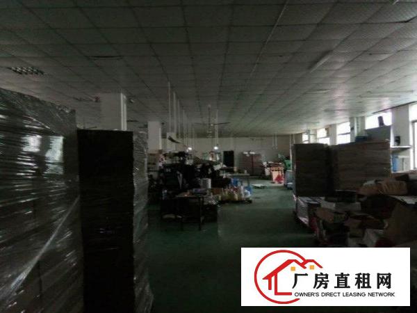 
塘厦凤凰岗标准厂房仓库出租1900平，空地大