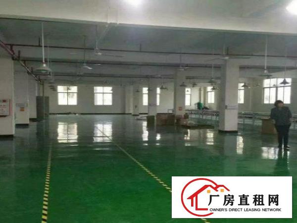
塘厦石鼓带装修标准厂房三楼1200平方招租，带喷淋