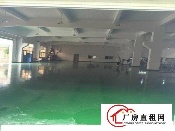 
塘厦蛟乙塘标准厂房2楼1600平出租，带地坪漆