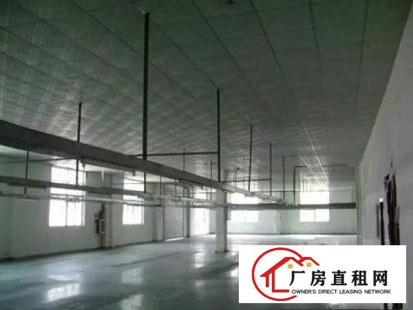 
塘厦诸佛岭工业区4600平方标准一楼厂房出租