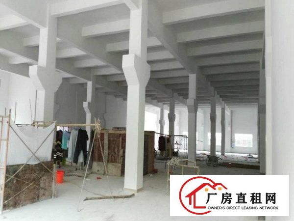 
塘厦四村标准厂房一楼2000平方急租，水电齐全