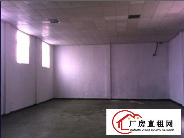 
塘厦四村标准厂房一楼2000平方急租，水电齐全