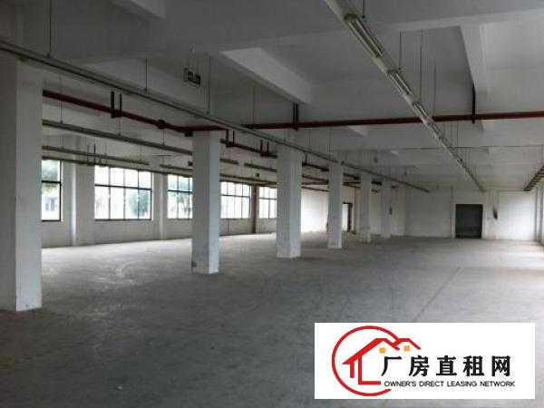 
塘厦大坪高速出口标准厂房3楼1000平米出租