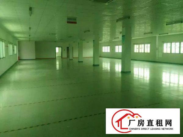 
塘厦莆心湖标准厂房2楼1600平，外观形象好