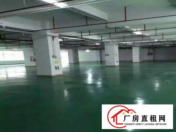 
塘厦镇清湖头标准厂房2楼2000平出租，可分租