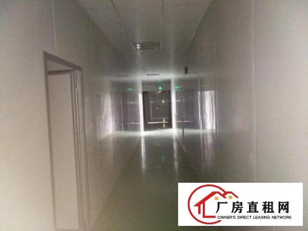 
塘厦楼上标准厂房1200平招租，带无尘车间