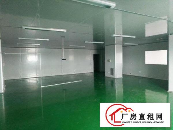 
塘厦楼上标准厂房1200平招租，带无尘车间