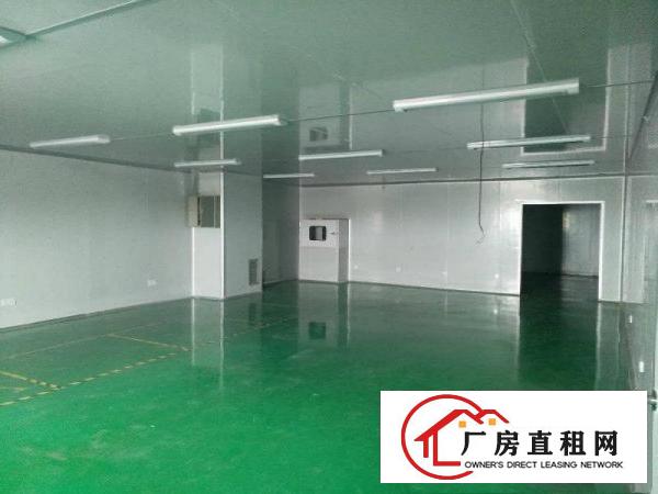 
塘厦楼上标准厂房1200平招租，带无尘车间
