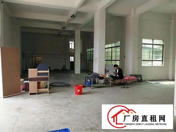 
塘厦镇中心新出标准独院2层800平米