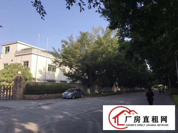 
塘厦新出花园式重工一楼厂房2365平方即租