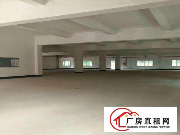 
塘厦新出原房东全新标准厂房二楼整层882平方招租