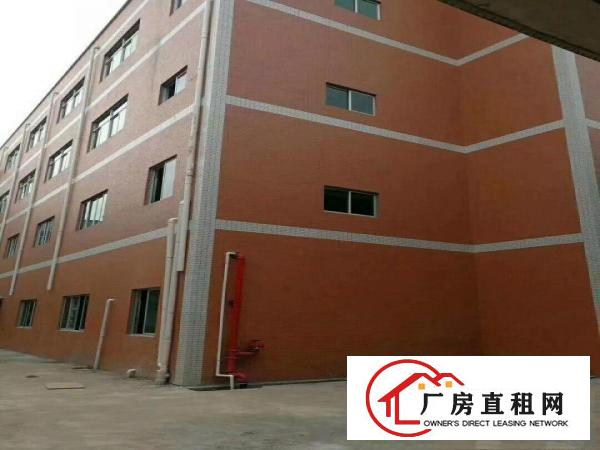 
塘厦新出原房东全新标准厂房二楼整层882平方招租