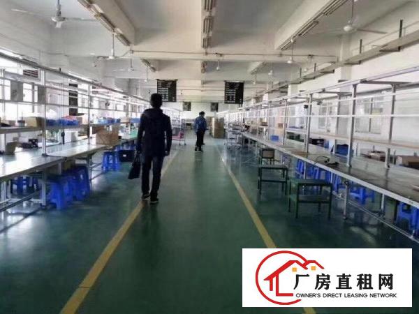 
塘厦,花园式独院1600,全面豪华装修,无需转让费