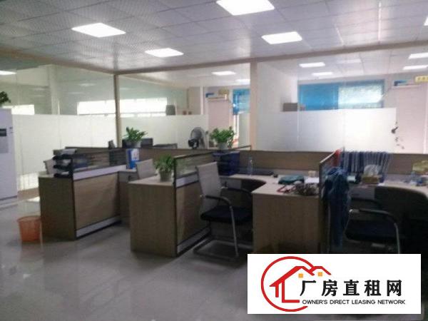 
塘厦,花园式独院1600,全面豪华装修,无需转让费
