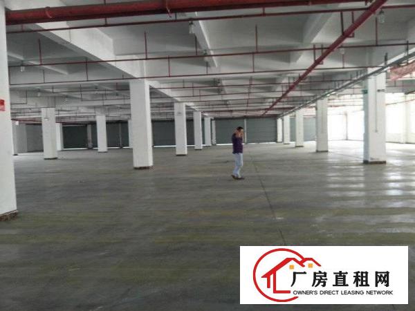
塘厦临深区,大型产业,新出标准厂房两千,带消防喷淋