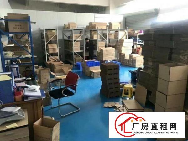 
桥陇临凤岗,千级无尘车间1300,豪华装修,租16