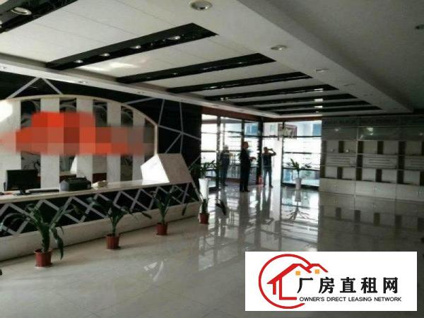 
大坪,新出独院2200,超豪华大气,现房,租20元