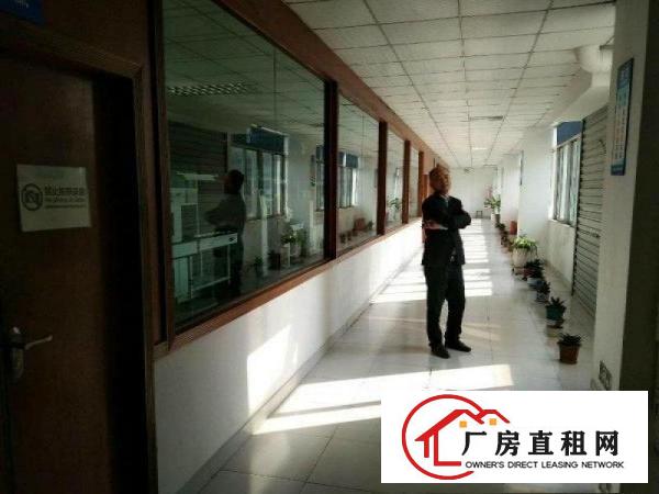 
大坪,新出独院2200,超豪华大气,现房,租20元