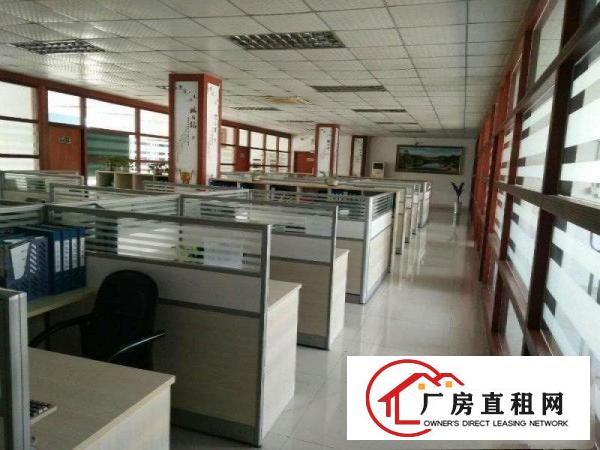 
大坪,新出独院2200,超豪华大气,现房,租20元