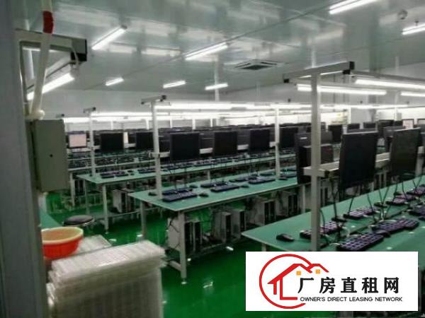 
大坪,新出独院2200,超豪华大气,现房,租20元