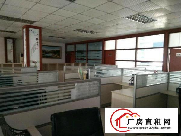
大坪,新出独院2200,超豪华大气,现房,租20元