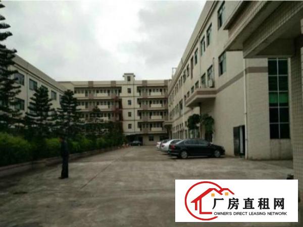 
塘厦四村新出标准1楼500,带精装修有牛角,租17