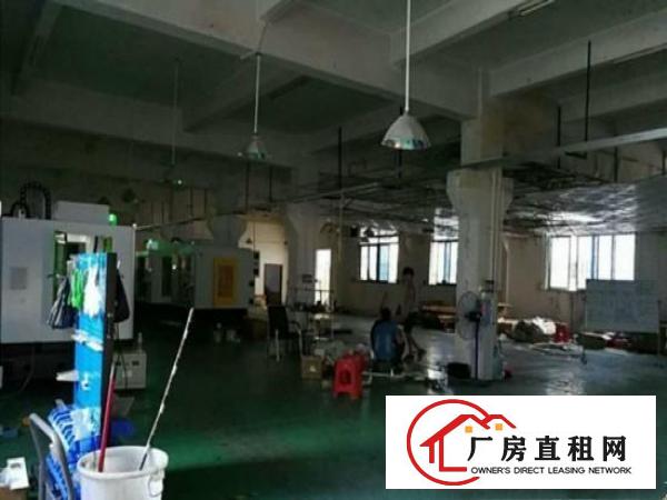 
塘厦四村新出标准1楼500,带精装修有牛角,租17