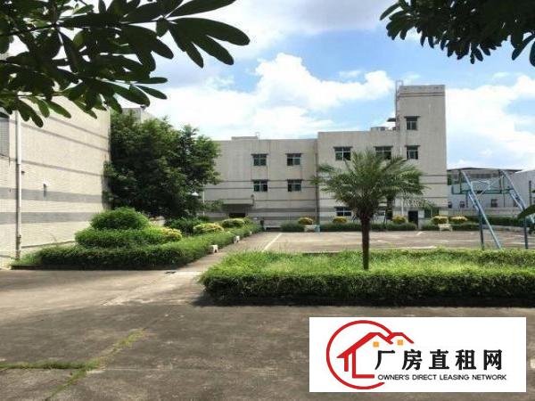 
塘厦科苑城,花园式标准2楼650,豪华装修,租17