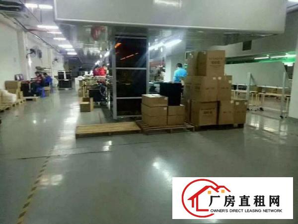 
塘厦科苑城,花园式标准2楼650,豪华装修,租17