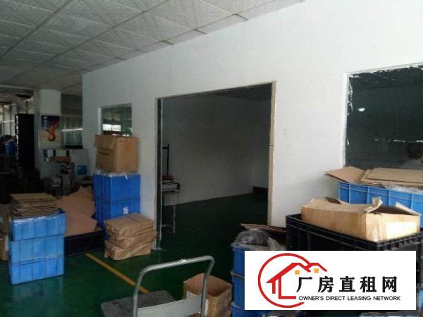 
石潭埔新出超豪华厂房600平,主线到车间,租金便宜