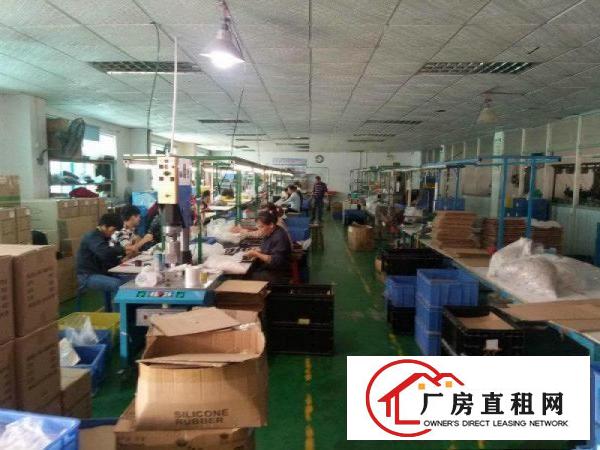 
石潭埔新出超豪华厂房600平,主线到车间,租金便宜