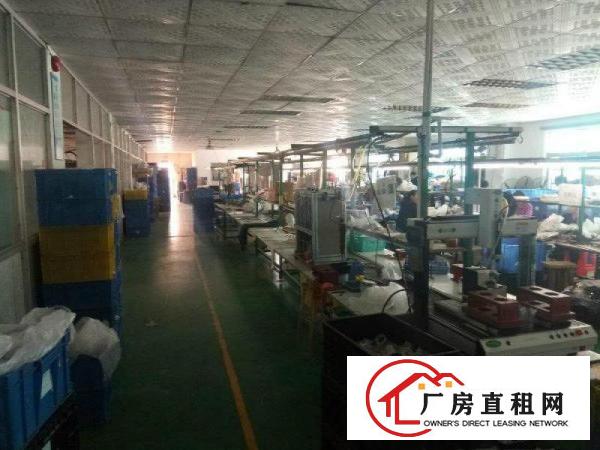 
石潭埔新出超豪华厂房600平,主线到车间,租金便宜