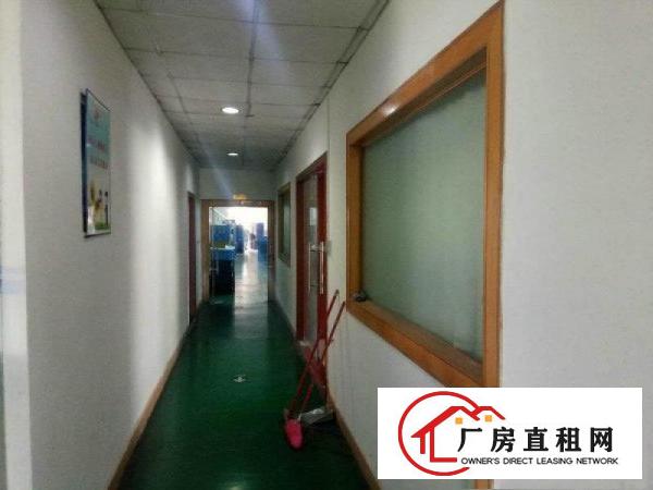 
石潭埔新出超豪华厂房600平,主线到车间,租金便宜