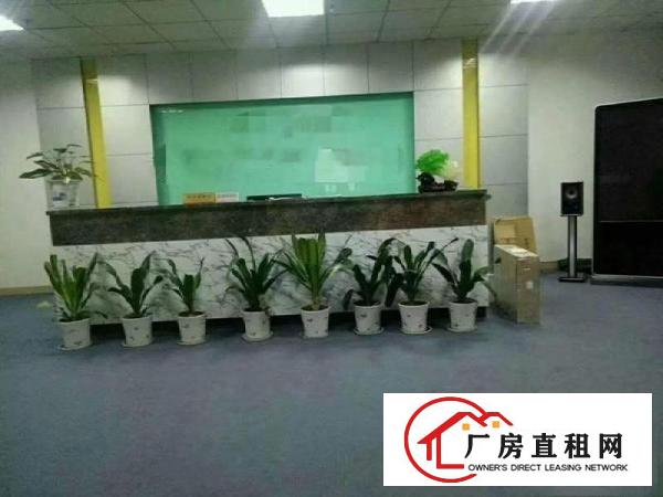 
塘厦大小厂房便宜租,几百至上万平,含独院,带精装修
