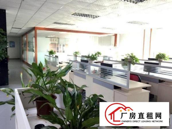 
塘厦,标准500平,带消防喷淋地坪漆,精装修办公室