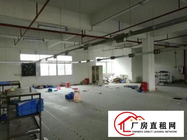 
科苑城,带精装修700平,主线到车间,有消防喷淋