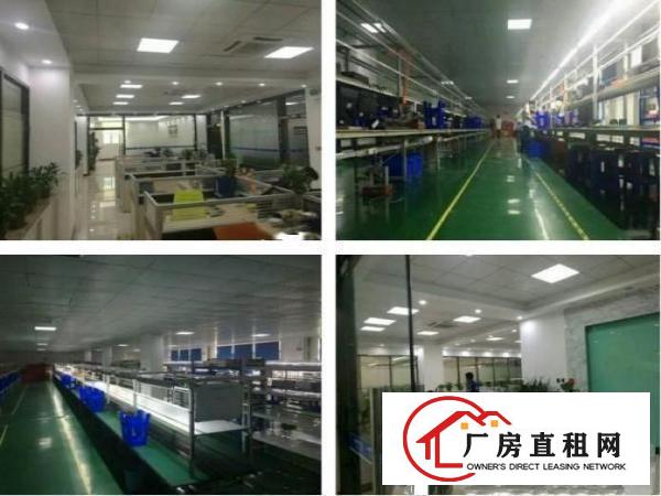 
房东急租800平,塘厦大小厂房几百至上万平,含独院