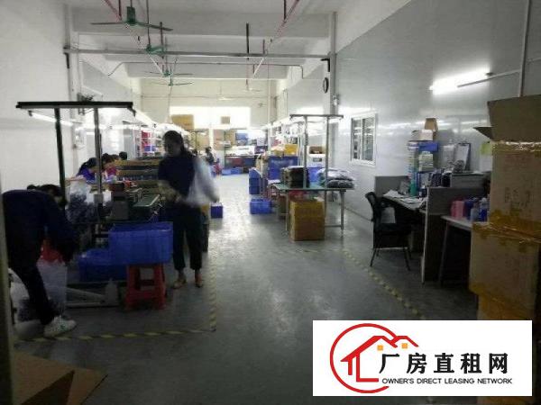 
塘厦,形象新,标准860,带消防喷淋,精装修办公室