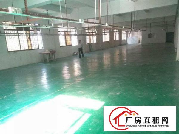 
塘厦标准3楼650平,带地坪漆,主线到车间,带排线