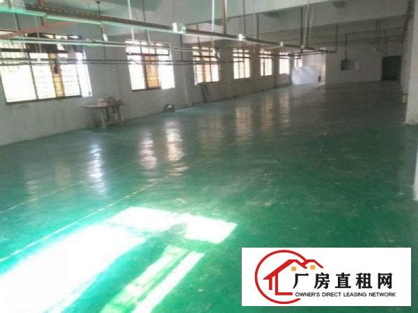 
塘厦标准3楼650平,带地坪漆,主线到车间,带排线