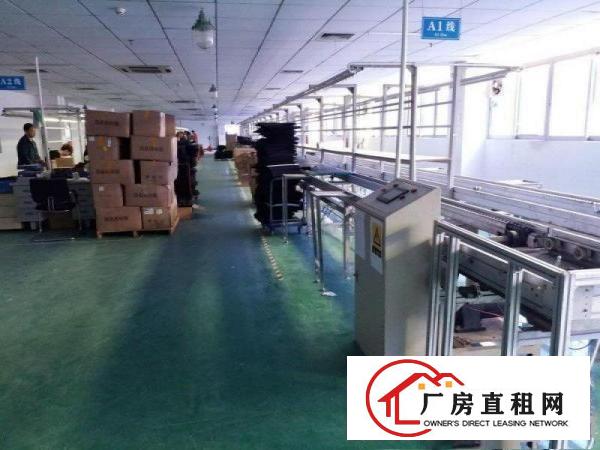 
塘厦,原房东650,带豪华装修,办公室4间,可分租