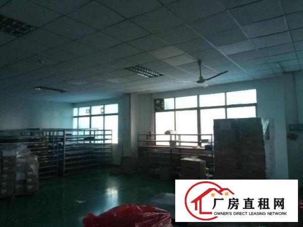 
田心,标准二楼730,带地坪漆,豪华办公室,租17