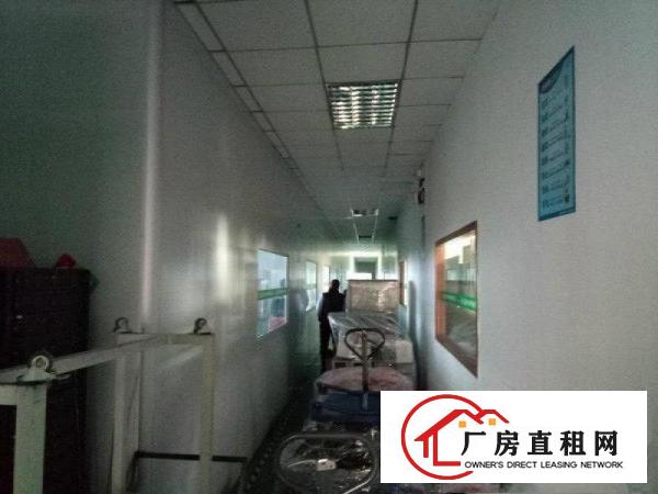 
田心,标准二楼730,带地坪漆,豪华办公室,租17