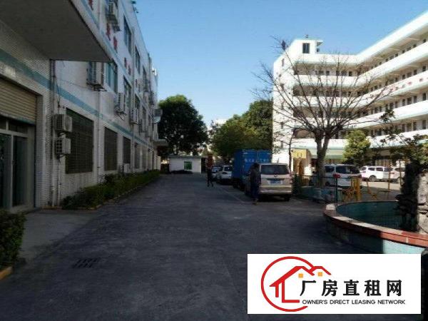 
田心,标准二楼730,带地坪漆,豪华办公室,租17