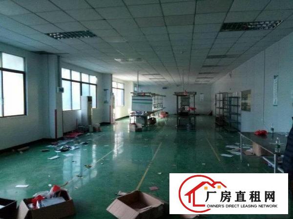 
田心,标准二楼730,带地坪漆,豪华办公室,租17